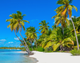 Les paysages de la Guadeloupe : tout pour un voyage magique!