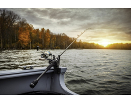 4 Conseils pour apprendre à pêcher