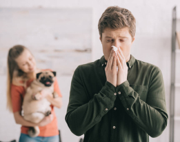 Animaux de compagnie et allergies : comment y faire face ?