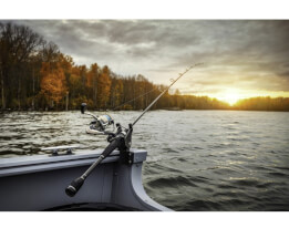 4 Conseils pour apprendre à pêcher