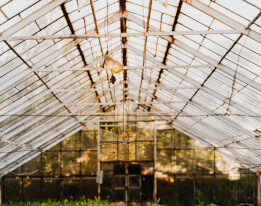 Les bases de la permaculture : Créer un jardin durable et écologique